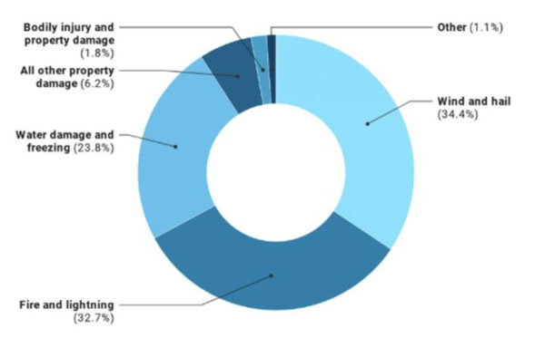 Pie Chart Showing Percentages Of Different Types Of Insurance Factors
