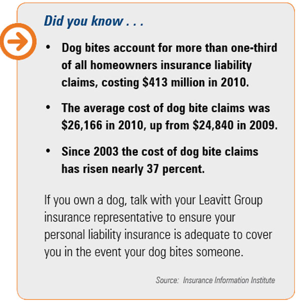 What Does Homeowners Liability Insurance Cover?